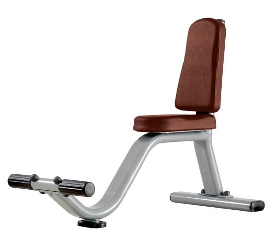 

Скамья-стул BRONZE GYM J-038, J-038