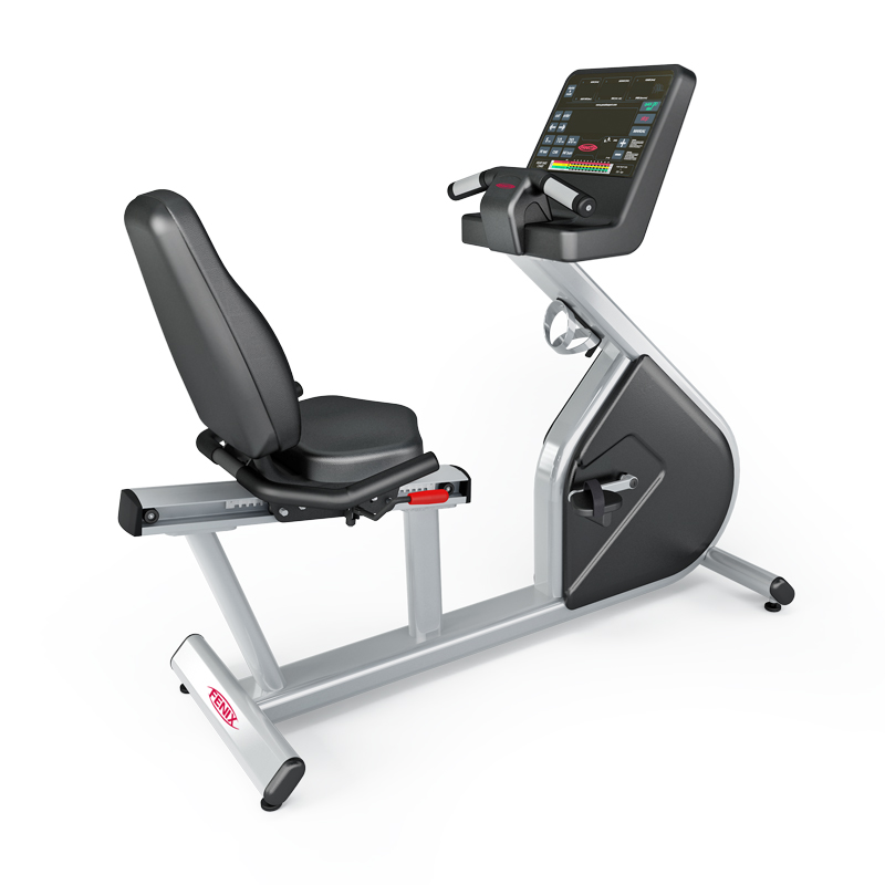 

Горизонтальный велоэргометр Panatta FENIX 1FX002A, FENIX 1FX002A