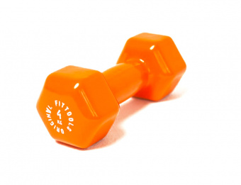 

Гантель Original Fittools в виниловой оболочке 4 кг (Цвет - оранжевый), в виниловой оболочке 4 кг (Цвет - оранжевый)