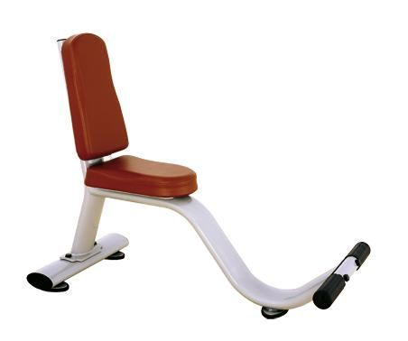 

Скамья-стул BRONZE GYM H-038, H-038