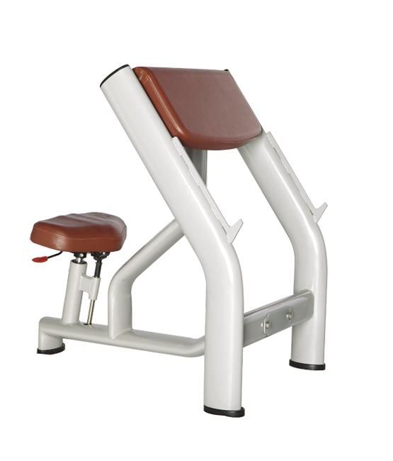 

Скамья Скотта BRONZE GYM H-040A, H-040A