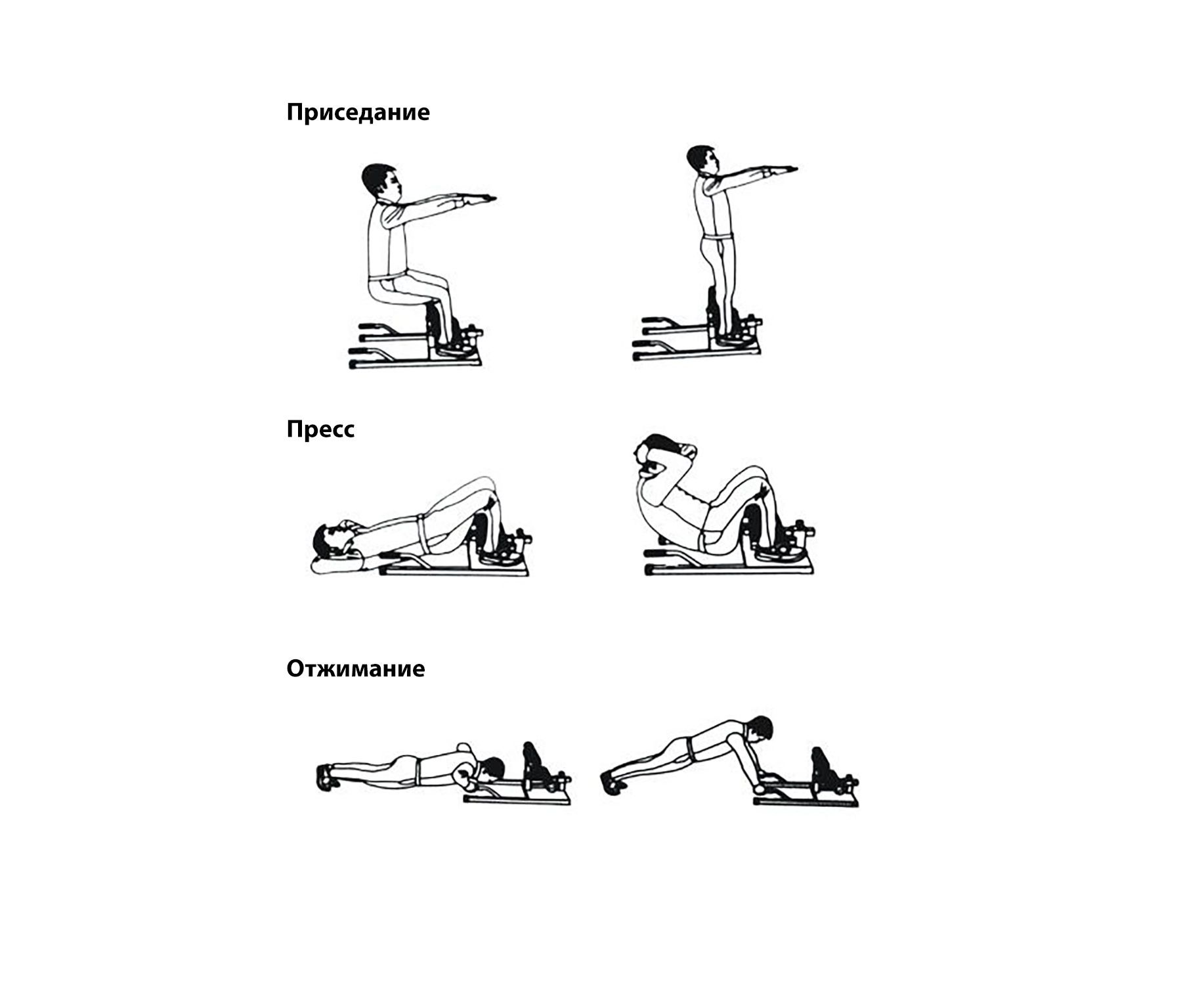 Тренажер для приседаний Squat Machine (sissy) DFC S032YW